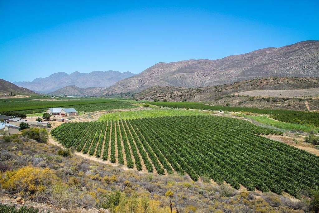 Bon Accord Farm Cottages مونتاغو الغرفة الصورة